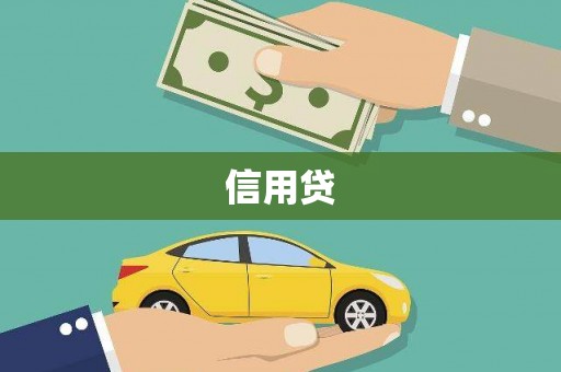 靖西信用贷