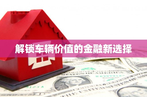 靖西解锁车辆价值的金融新选择