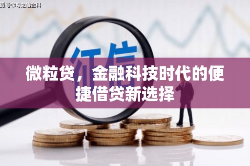 靖西微粒贷，金融科技时代的便捷借贷新选择