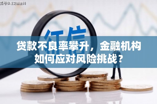 靖西贷款不良率攀升，金融机构如何应对风险挑战？