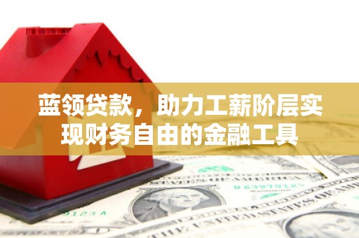 靖西蓝领贷款，助力工薪阶层实现财务自由的金融工具