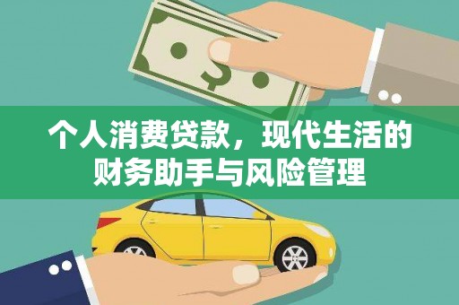 靖西个人消费贷款，现代生活的财务助手与风险管理