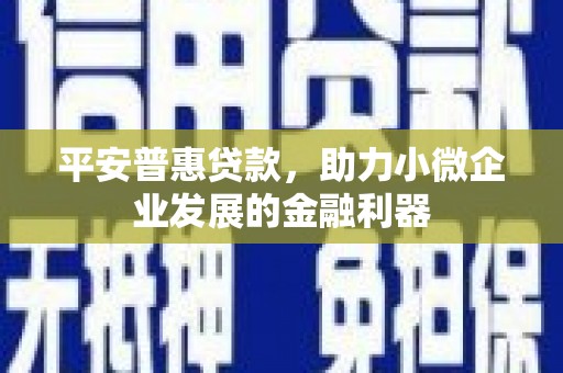 靖西平安普惠贷款，助力小微企业发展的金融利器