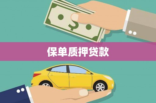 靖西保单质押贷款