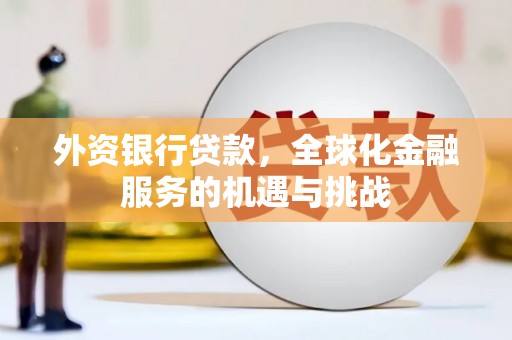 靖西外资银行贷款，全球化金融服务的机遇与挑战