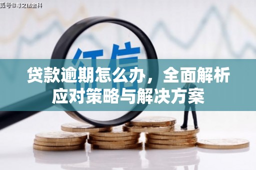 靖西贷款逾期怎么办，全面解析应对策略与解决方案