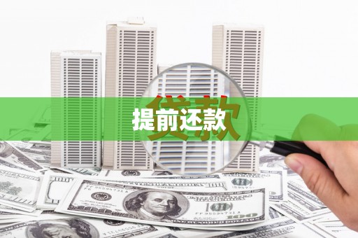 靖西提前还款