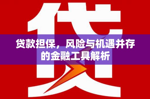 靖西贷款担保，风险与机遇并存的金融工具解析