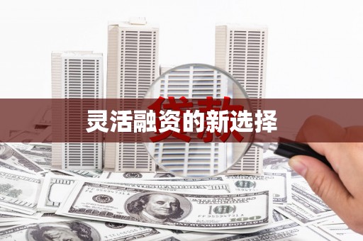 靖西灵活融资的新选择