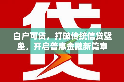 靖西白户可贷，打破传统信贷壁垒，开启普惠金融新篇章