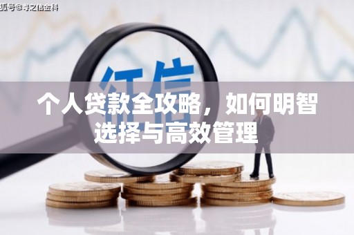 靖西个人贷款全攻略，如何明智选择与高效管理