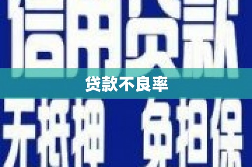 靖西贷款不良率