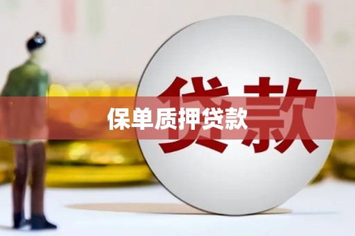 靖西保单质押贷款