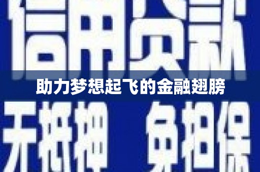 靖西助力梦想起飞的金融翅膀
