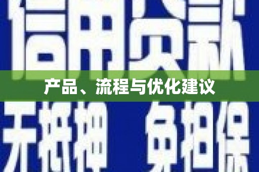 靖西产品、流程与优化建议