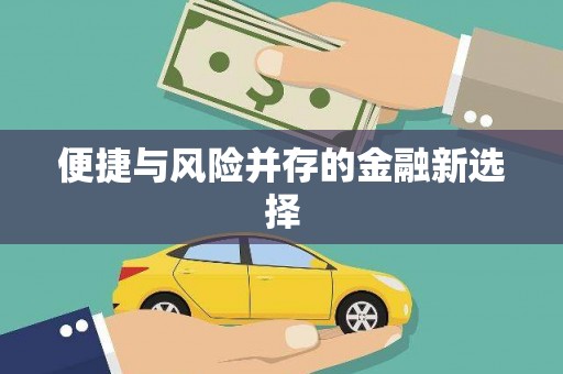 靖西便捷与风险并存的金融新选择