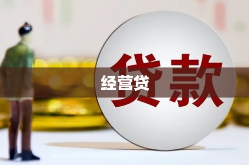 靖西经营贷