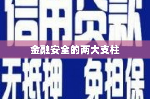 靖西金融安全的两大支柱