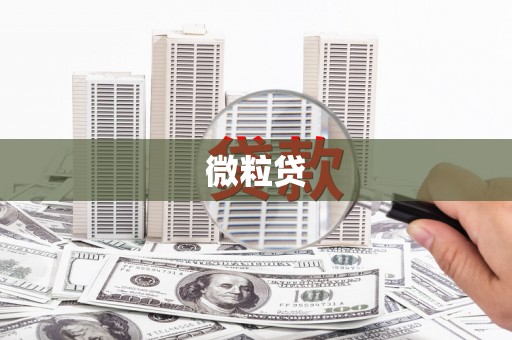 靖西微粒贷