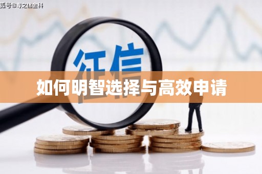 靖西如何明智选择与高效申请