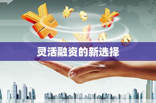 靖西灵活融资的新选择