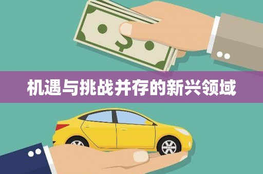 靖西机遇与挑战并存的新兴领域