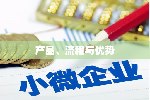 靖西产品、流程与优势