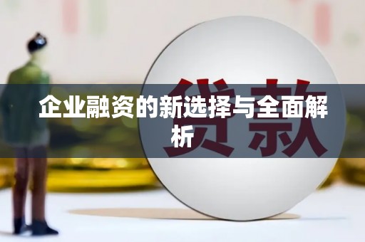 靖西企业融资的新选择与全面解析