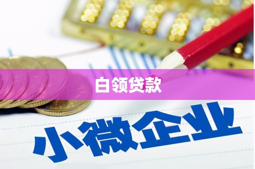 靖西白领贷款