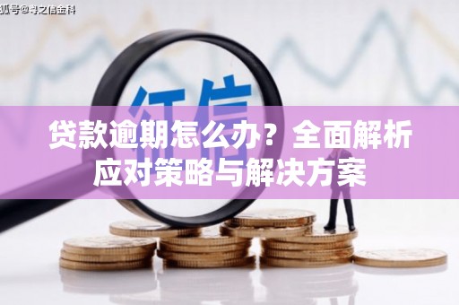 靖西贷款逾期怎么办？全面解析应对策略与解决方案