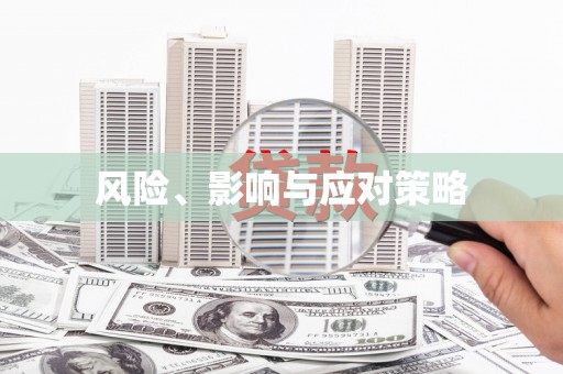 靖西风险、影响与应对策略