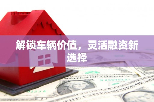 靖西解锁车辆价值，灵活融资新选择