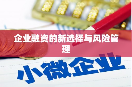 靖西企业融资的新选择与风险管理