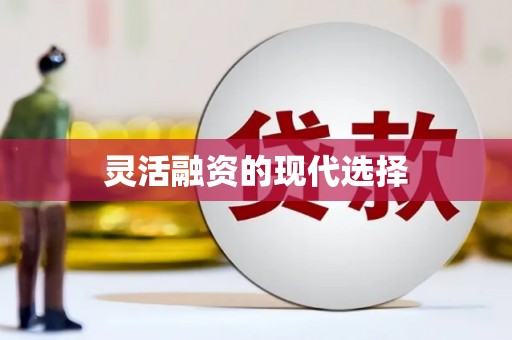 靖西灵活融资的现代选择