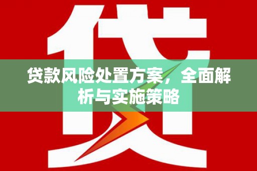 靖西贷款风险处置方案，全面解析与实施策略