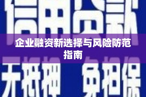 靖西企业融资新选择与风险防范指南