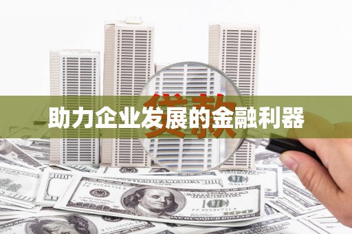 靖西助力企业发展的金融利器