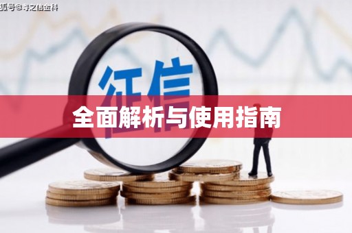 靖西全面解析与使用指南