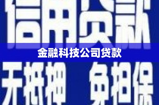 靖西金融科技公司贷款