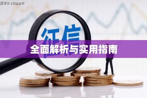 靖西全面解析与实用指南