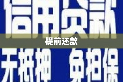 靖西提前还款