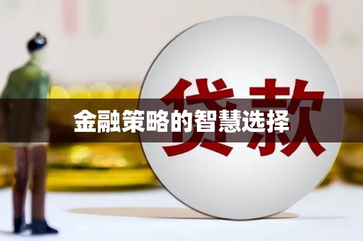 靖西金融策略的智慧选择