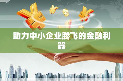 靖西助力中小企业腾飞的金融利器