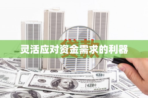 靖西灵活应对资金需求的利器