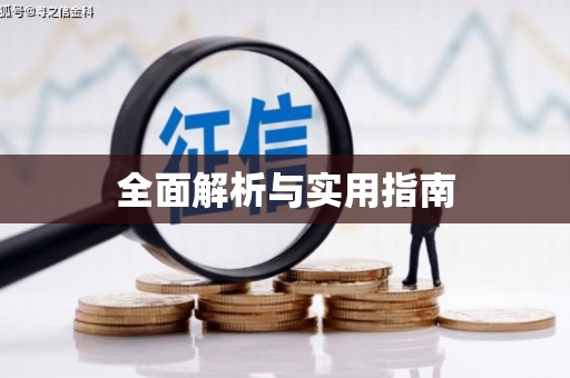 靖西全面解析与实用指南