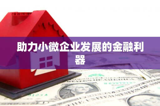 靖西助力小微企业发展的金融利器