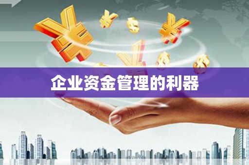 靖西企业资金管理的利器