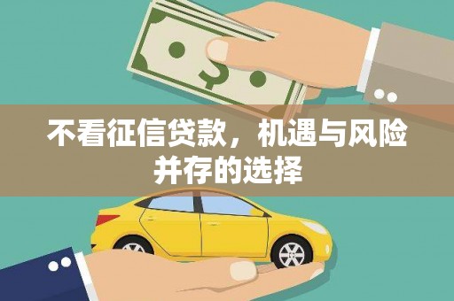靖西不看征信贷款，机遇与风险并存的选择