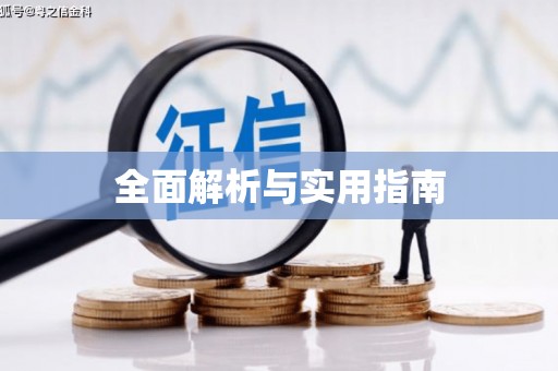 靖西全面解析与实用指南