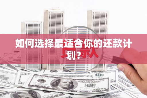 靖西如何选择最适合你的还款计划？